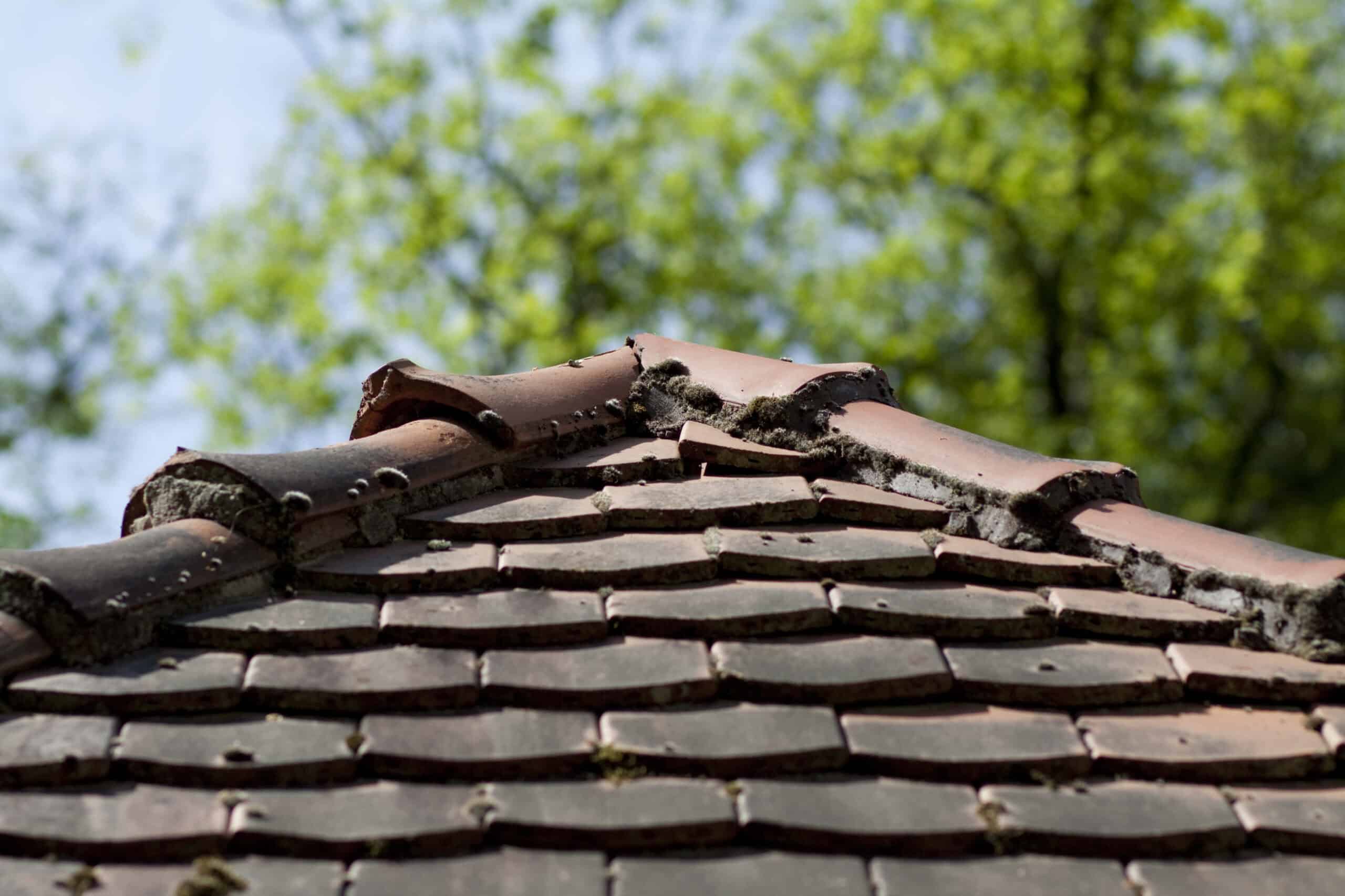 Damaged roof ridge tiles with moss growth showing structural damage.